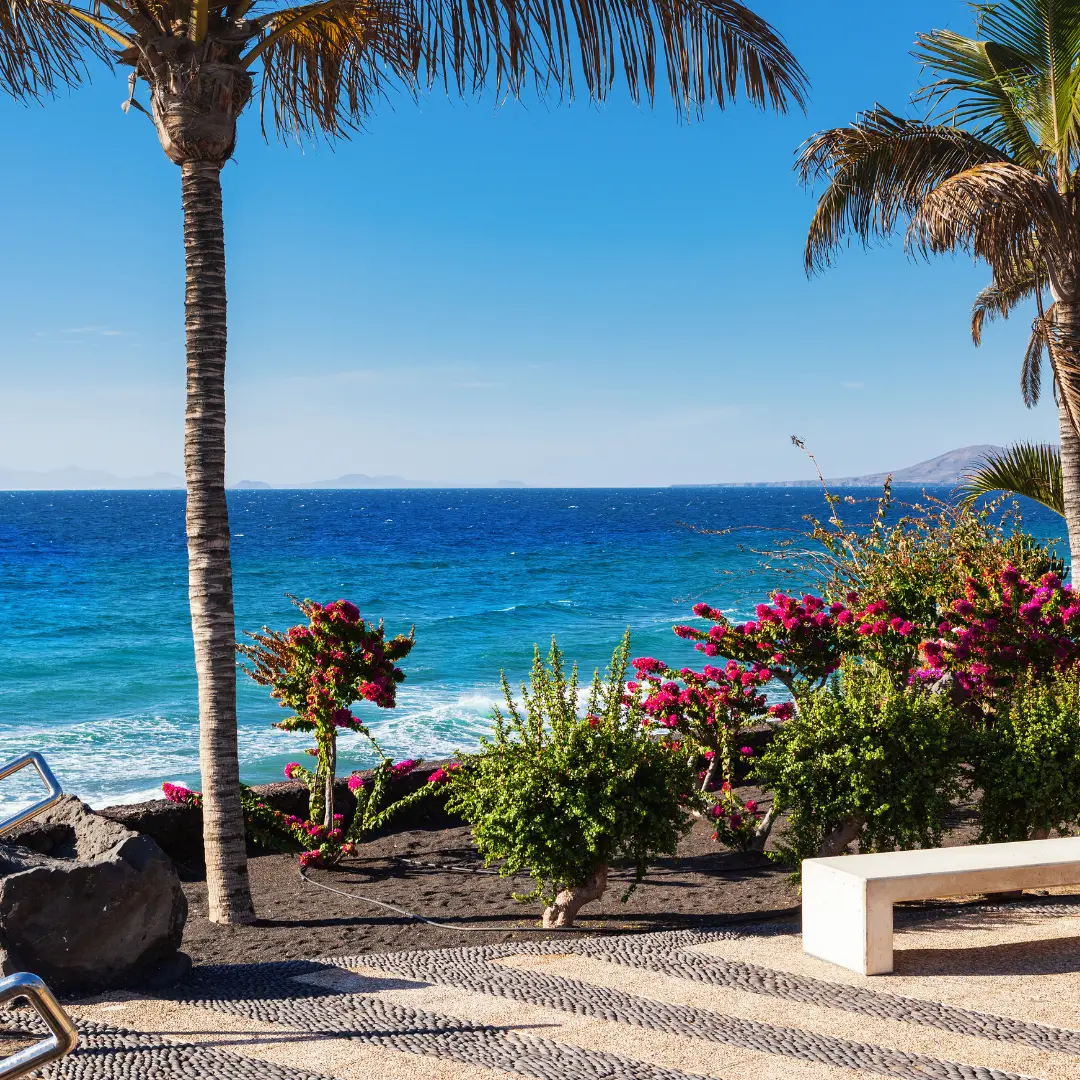 A sunny beach view with palm trees, bright pink flowers, and deep blue ocean water.