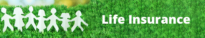 LifeInsurance
