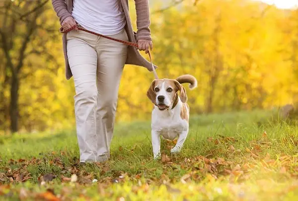 IW - woman walking dog outside