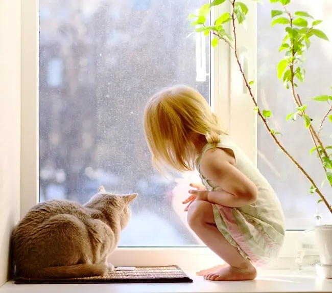 A child sat next to a cat looking out the window